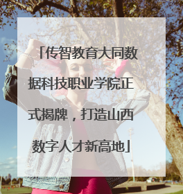 传智教育大同数据科技职业学院正式揭牌，打造山西数字人才新高地