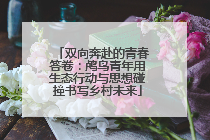 双向奔赴的青春答卷：鸬鸟青年用生态行动与思想碰撞书写乡村未来