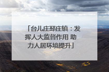 台儿庄邳庄镇：发挥人大监督作用 助力人居环境提升