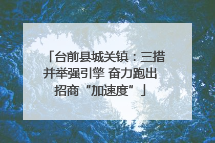 台前县城关镇：三措并举强引擎 奋力跑出招商“加速度”
