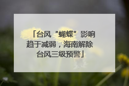 台风“蝴蝶”影响趋于减弱，海南解除台风三级预警