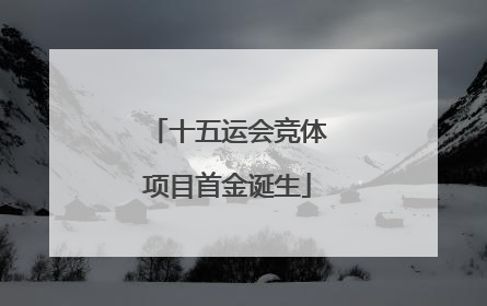 十五运会竞体项目首金诞生