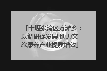十堰张湾区方滩乡：以调研促发展 助力文旅康养产业提质增效