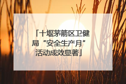 十堰茅箭区卫健局“安全生产月”活动成效显著