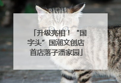 升级亮相！“国字头”国潮文创店首店落子潘家园
