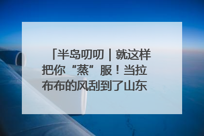 半岛叨叨｜就这样把你“蒸”服！当拉布布的风刮到了山东馒头界……