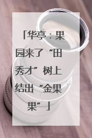 华亭：果园来了“田秀才”树上结出“金果果”