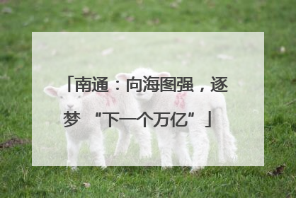 南通：向海图强，逐梦 “下一个万亿”