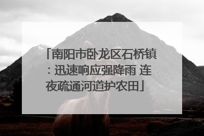 南阳市卧龙区石桥镇：迅速响应强降雨 连夜疏通河道护农田