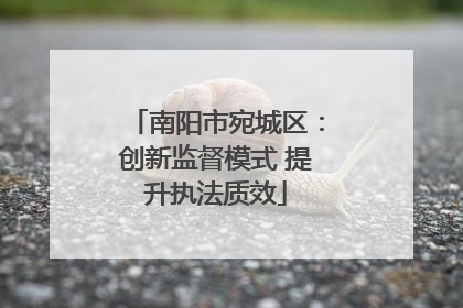 南阳市宛城区：创新监督模式 提升执法质效