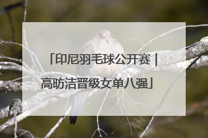 印尼羽毛球公开赛｜高昉洁晋级女单八强