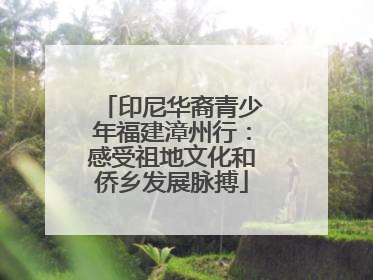 印尼华裔青少年福建漳州行：感受祖地文化和侨乡发展脉搏