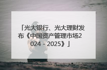 光大银行、光大理财发布《中国资产管理市场2024－2025》
