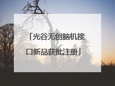 光谷无创脑机接口新品获批注册
