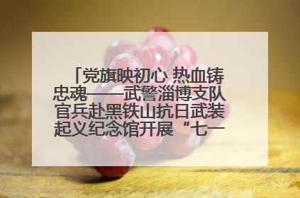 党旗映初心 热血铸忠魂——武警淄博支队官兵赴黑铁山抗日武装起义纪念馆开展“七一”主题党日活动
