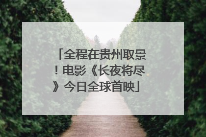 全程在贵州取景！电影《长夜将尽》今日全球首映