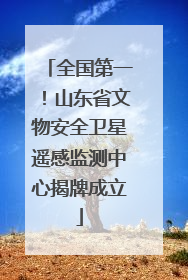 全国第一！山东省文物安全卫星遥感监测中心揭牌成立