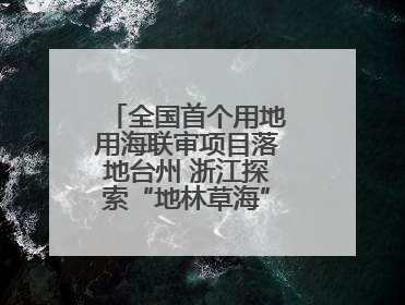 全国首个用地用海联审项目落地台州 浙江探索“地林草海”审批一次办