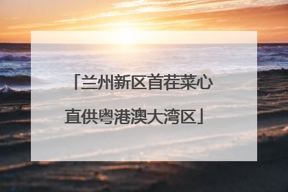 兰州新区首茬菜心直供粤港澳大湾区