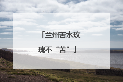 兰州苦水玫瑰不“苦”