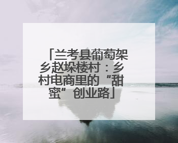 兰考县葡萄架乡赵垛楼村：乡村电商里的“甜蜜”创业路