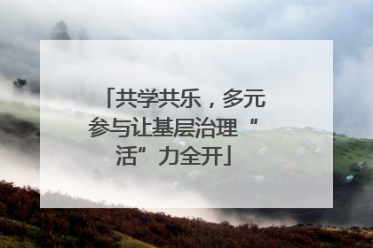 共学共乐，多元参与让基层治理“活”力全开