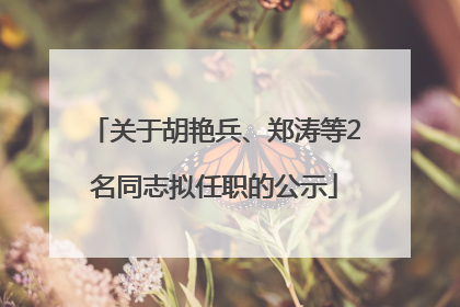 关于胡艳兵、郑涛等2名同志拟任职的公示