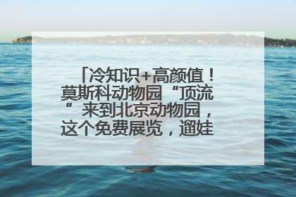 冷知识+高颜值！莫斯科动物园“顶流”来到北京动物园，这个免费展览，遛娃拍照两不误！