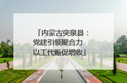 内蒙古突泉县：党建引领聚合力 以工代赈促增收