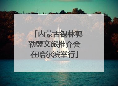 内蒙古锡林郭勒盟文旅推介会在哈尔滨举行