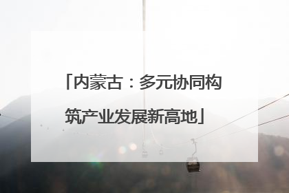 内蒙古：多元协同构筑产业发展新高地