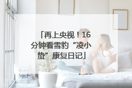 再上央视！16分钟看雪豹“凌小蛰”康复日记