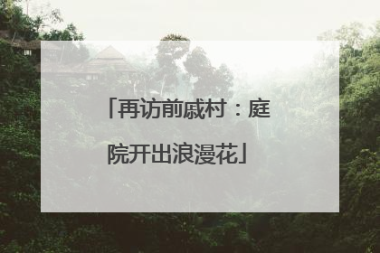 再访前戚村：庭院开出浪漫花