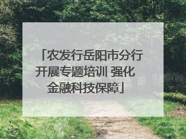 农发行岳阳市分行开展专题培训 强化金融科技保障