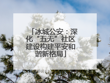 冰城公安：深化“五无”社区建设构建平安和谐新格局