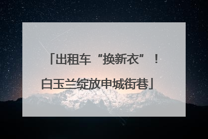 出租车“换新衣”！白玉兰绽放申城街巷