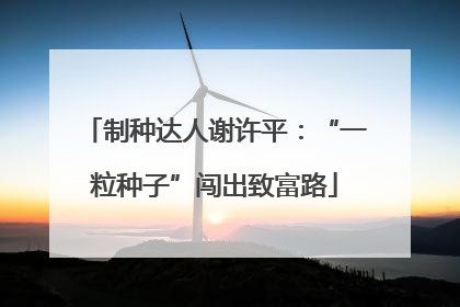 制种达人谢许平：“一粒种子”闯出致富路