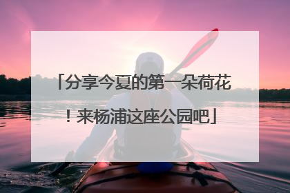 分享今夏的第一朵荷花！来杨浦这座公园吧