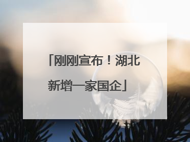 刚刚宣布！湖北新增一家国企