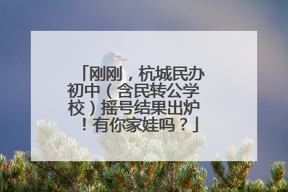 刚刚，杭城民办初中（含民转公学校）摇号结果出炉！有你家娃吗？