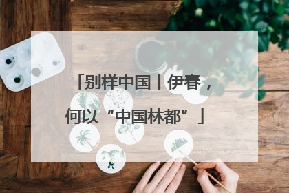 别样中国丨伊春，何以“中国林都”