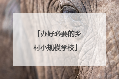 办好必要的乡村小规模学校