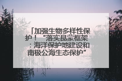 加强生物多样性保护！“落实昆蒙框架：海洋保护地建设和南极公海生态保护”主题论坛将举办