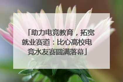 助力电竞教育，拓宽就业赛道：比心高校电竞水友赛圆满落幕