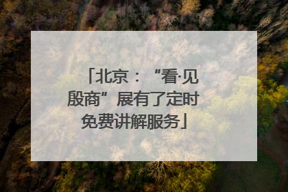 北京：“看·见殷商”展有了定时免费讲解服务