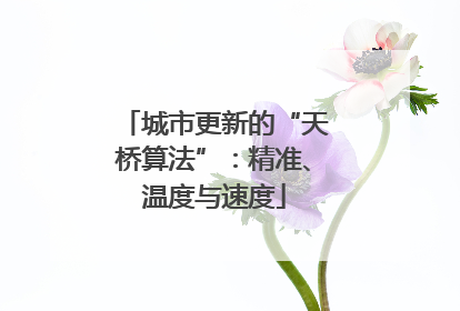 城市更新的“天桥算法”：精准、温度与速度
