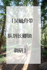 吴毓舟带队到长卿镇调研