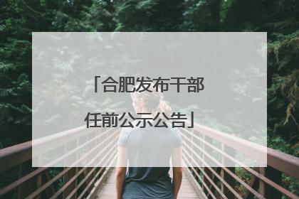 合肥发布干部任前公示公告