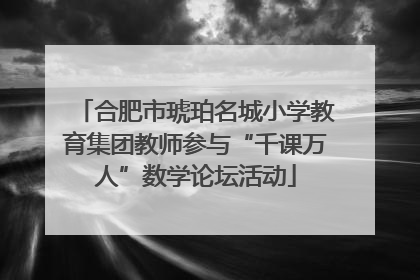 合肥市琥珀名城小学教育集团教师参与“千课万人”数学论坛活动