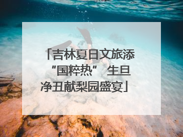吉林夏日文旅添“国粹热” 生旦净丑献梨园盛宴